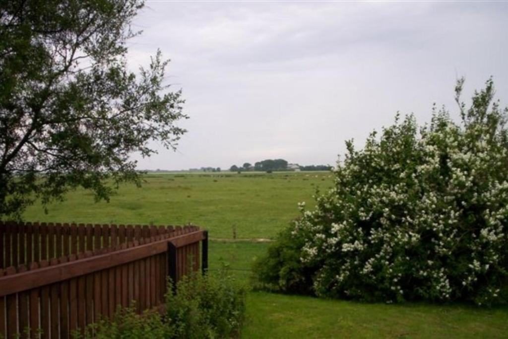 Wohnen Unter Reet Appartement Galmsbull Buitenkant foto